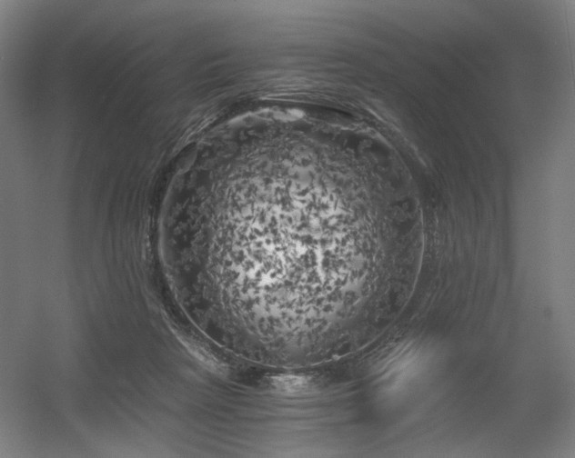 X0000056340265200508291323