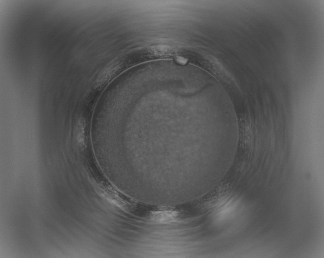 X0000056340266200508291323