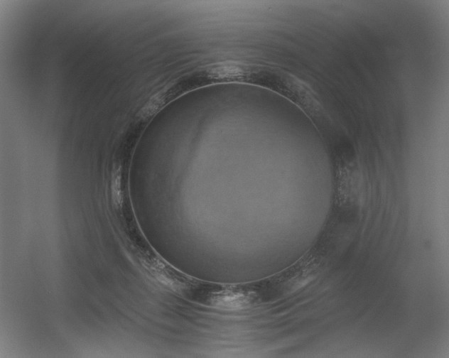 X0000056340267200508291323