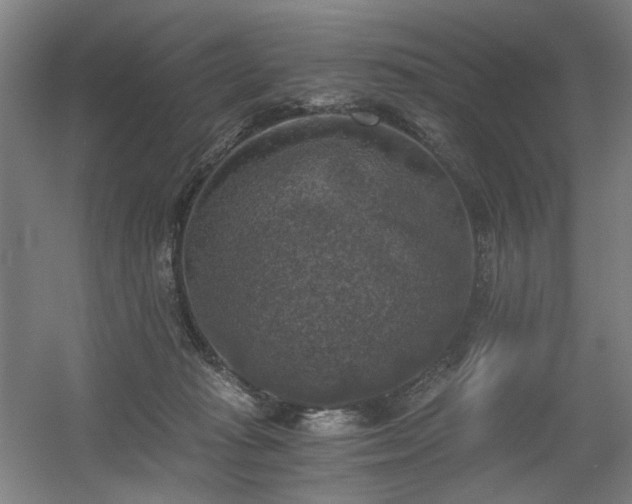 X0000056340269200508291323