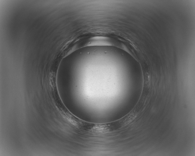 X0000056340280200508291323