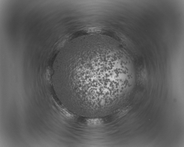 X0000056340281200508291323