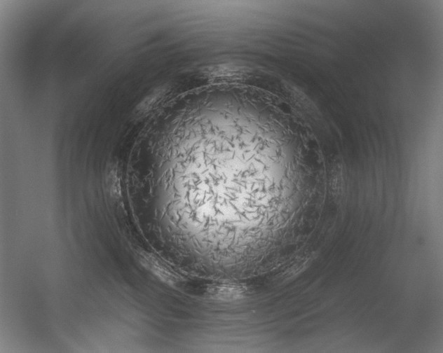 X0000056340282200508291323