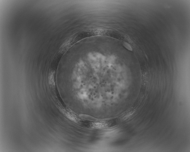 X0000056340286200508291324