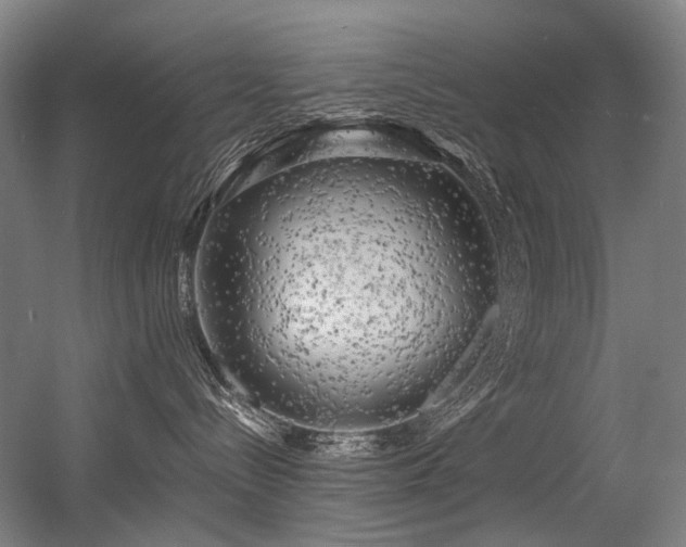 X0000056340288200508291324