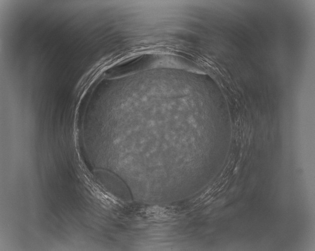 X0000056340290200508291323