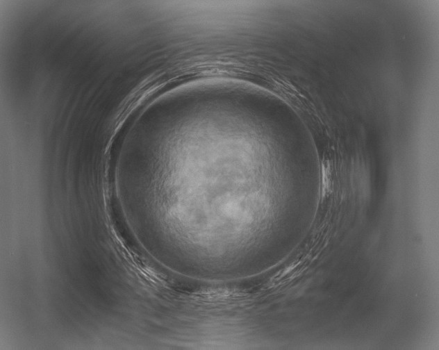 X0000056340291200508291323