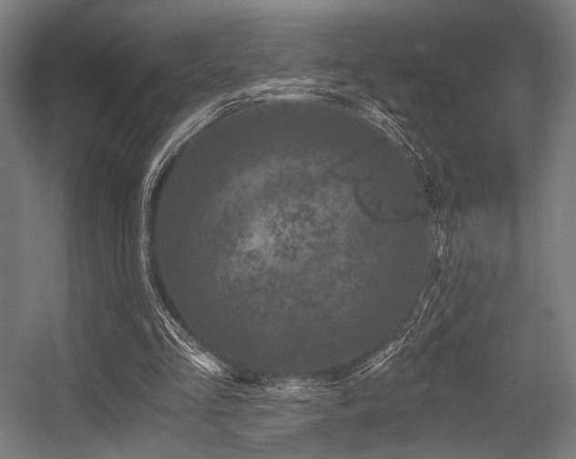 X0000056340293200508291323