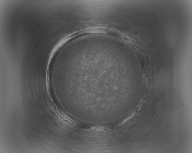 X0000056340294200508291323