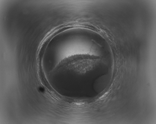 X0000056340295200508291323