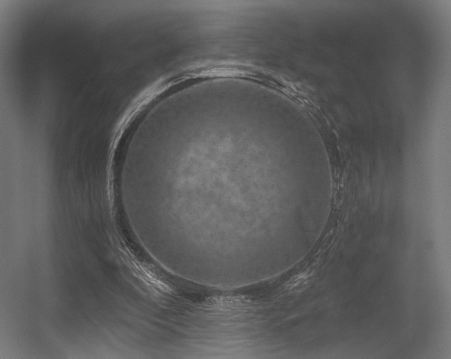 X0000056340296200508291323