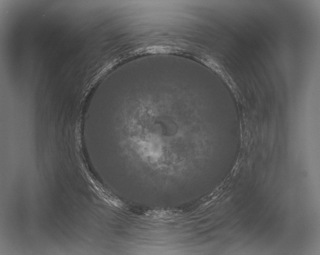 X0000056340297200508291323