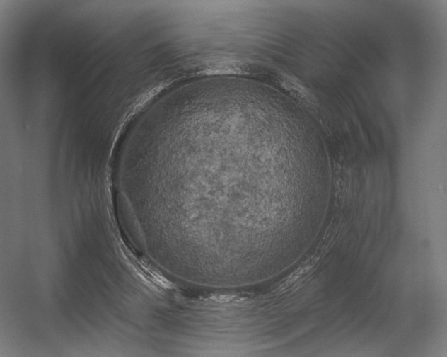 X0000056340298200508291323