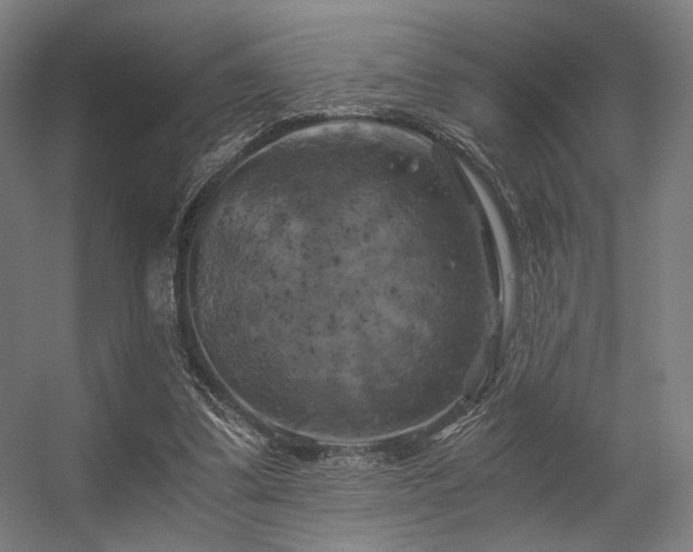 X0000056340299200508291323