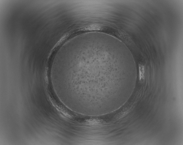 X0000056340300200508291323