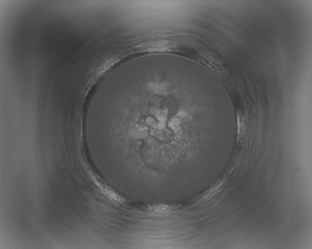 X0000056340301200508291323