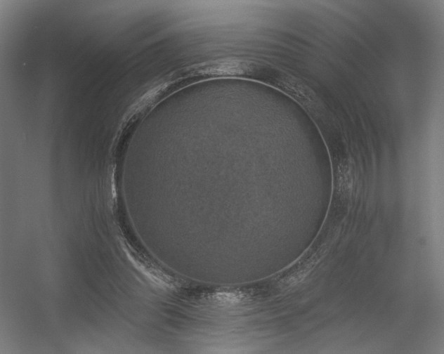 X0000056340302200508291323