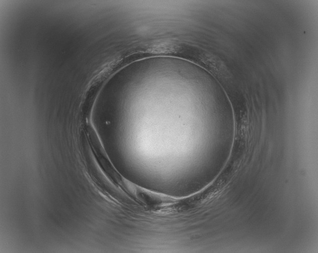 X0000056340303200508291323