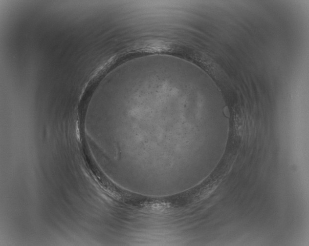 X0000056340304200508291322