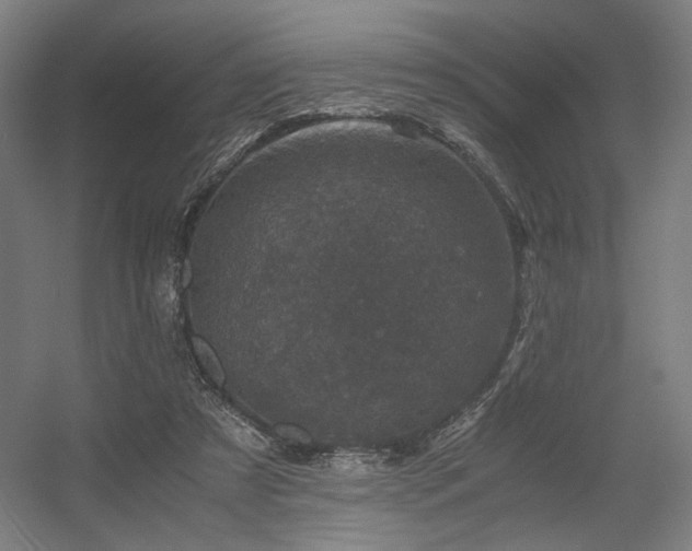 X0000056340305200508291322