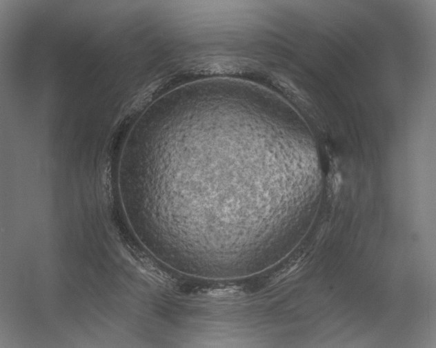 X0000056340306200508291322