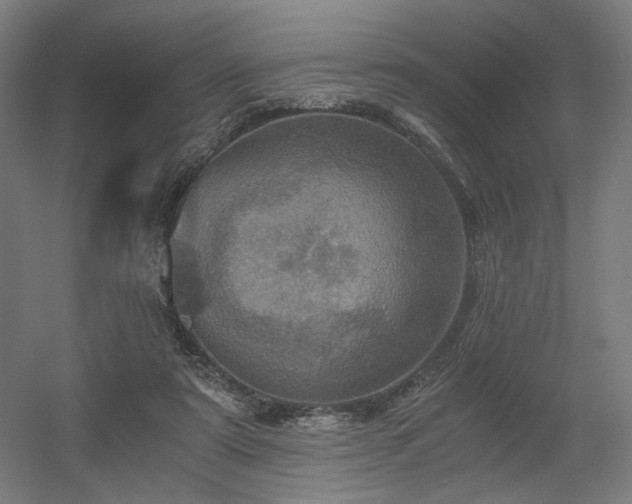 X0000056340307200508291322