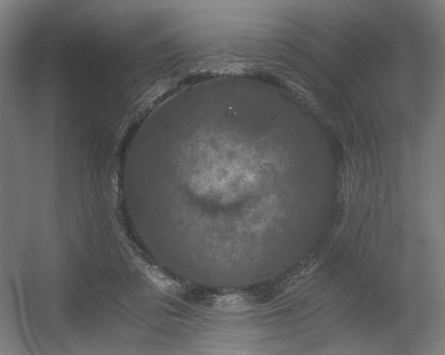 X0000056340309200508291322