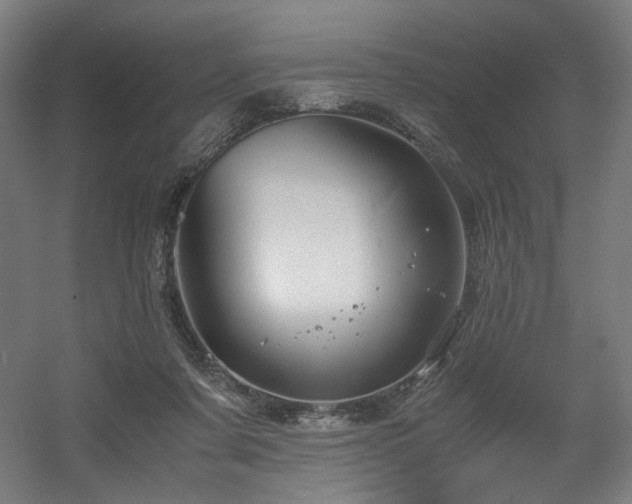 X0000056340311200508291322