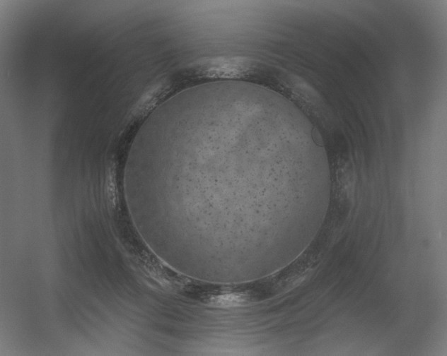 X0000056340312200508291322