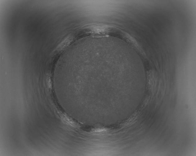 X0000056340313200508291322