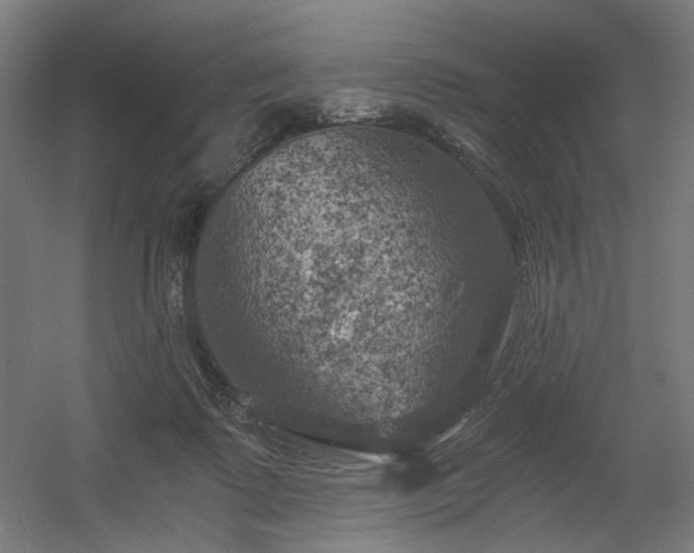 X0000056340315200508291322