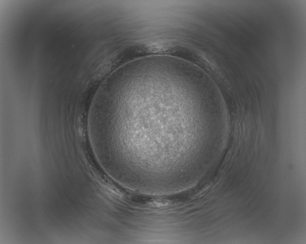 X0000056340317200508291322