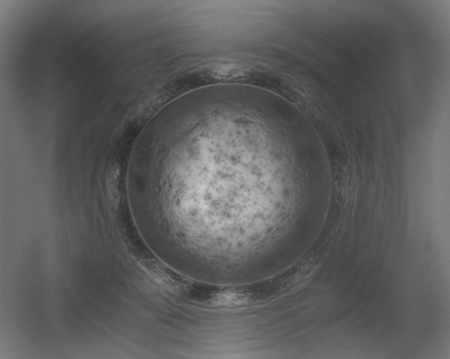 X0000056340319200508291322