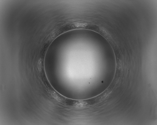 X0000056340321200508291322