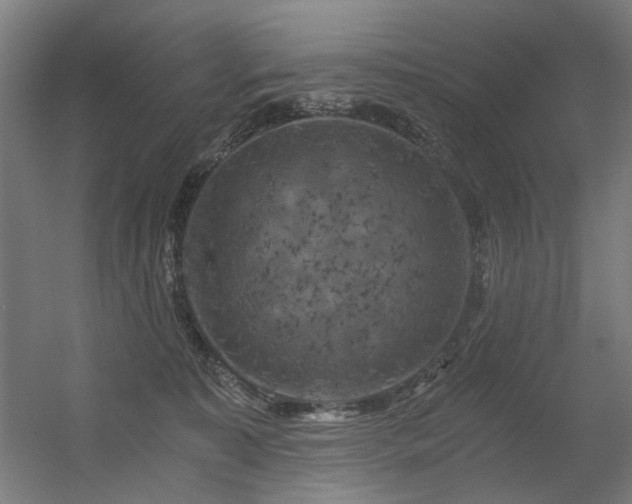 X0000056340323200508291322