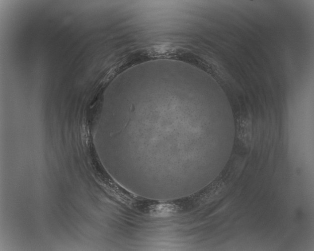 X0000056340324200508291322