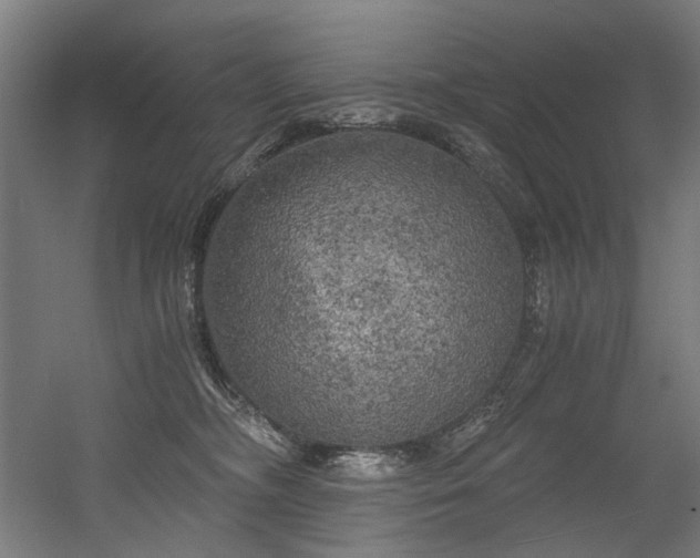 X0000056340326200508291322