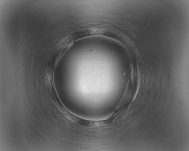 X0000056340329200508291322