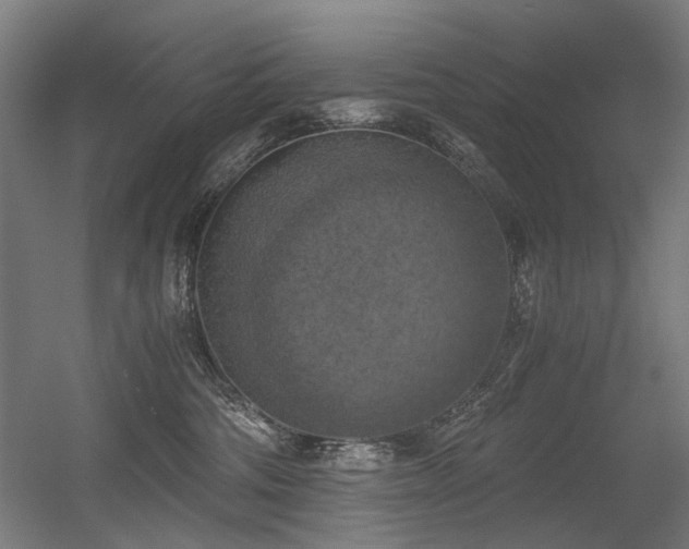 X0000056340330200508291322