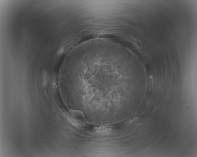 X0000056340331200508291322