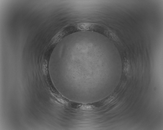 X0000056340332200508291322