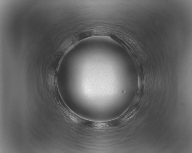 X0000056340333200508291322