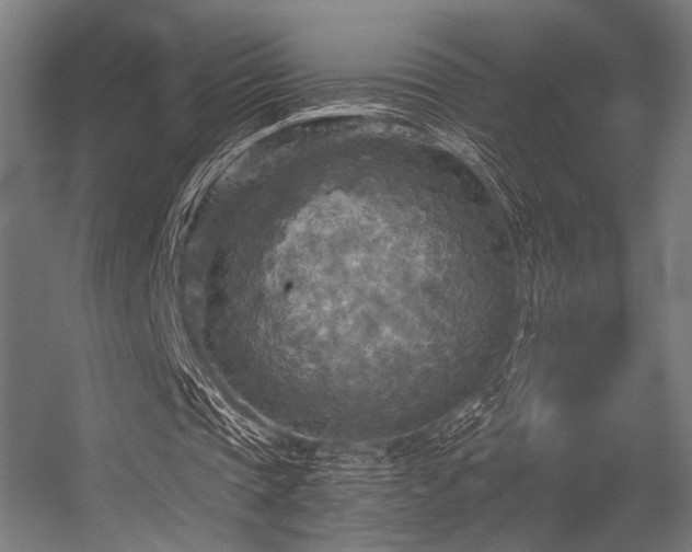 X0000056340337200508291321