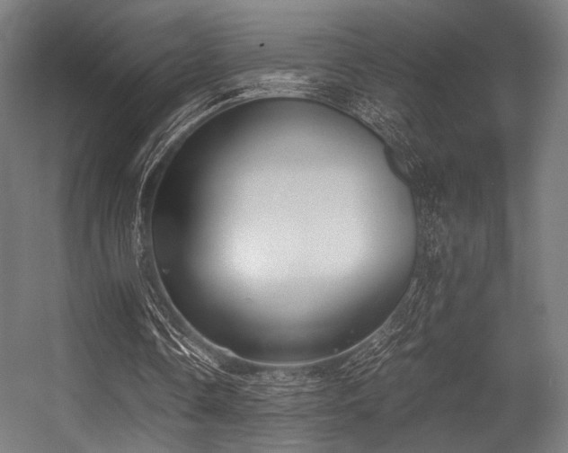 X0000056340338200508291321