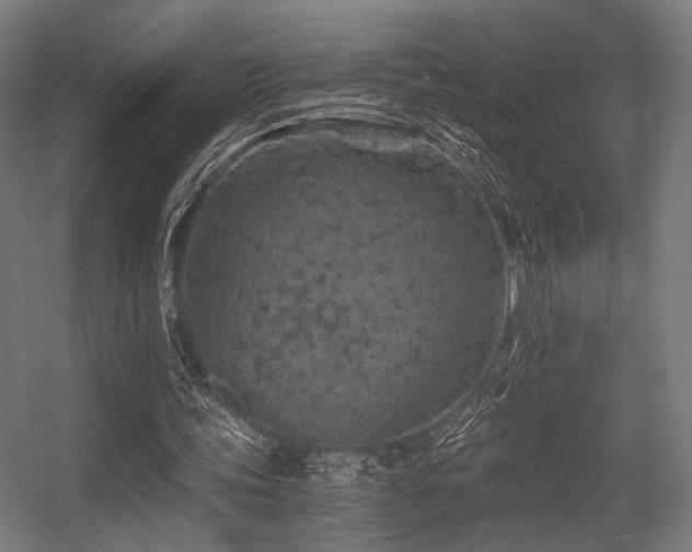 X0000056340339200508291321