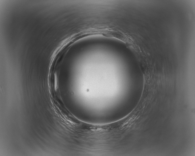 X0000056340340200508291321