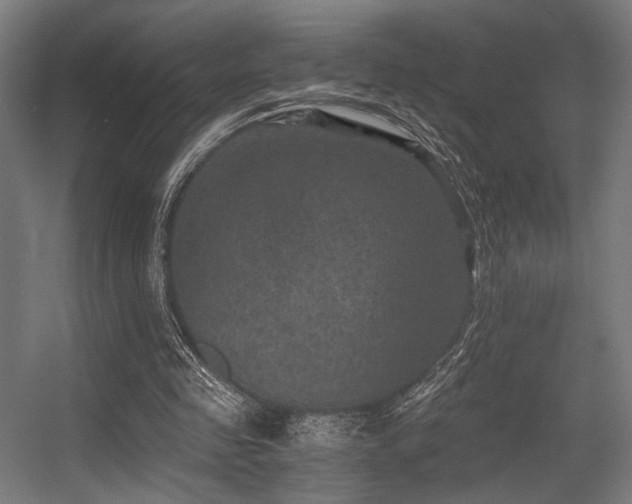 X0000056340341200508291321