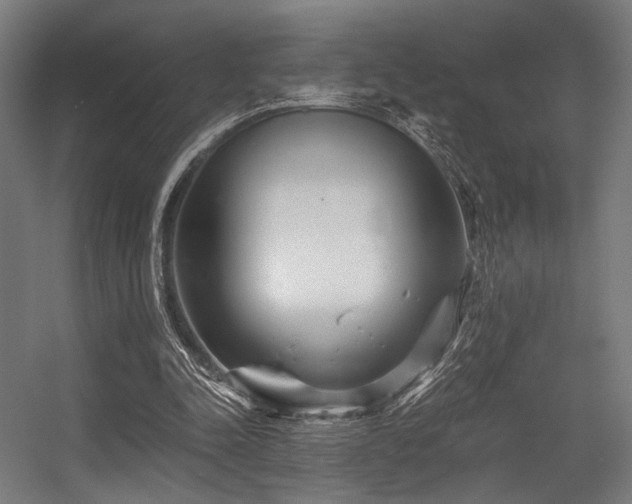 X0000056340342200508291321