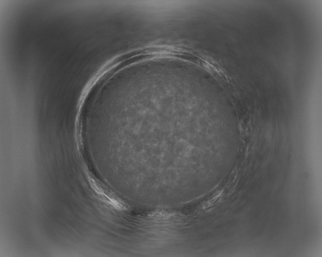 X0000056340343200508291321