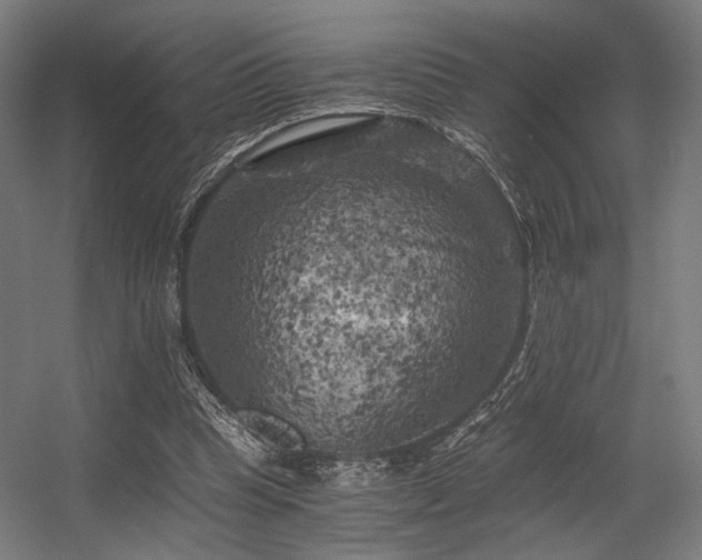 X0000056340345200508291321